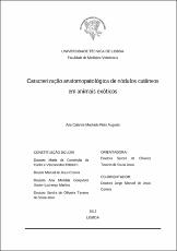Miniatura